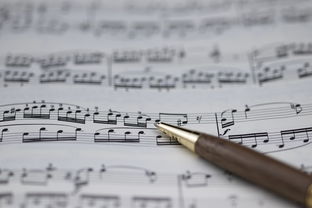 米兰真人-NBA球员职业规划建议与实施，nba球员怎么规划锻炼和训练